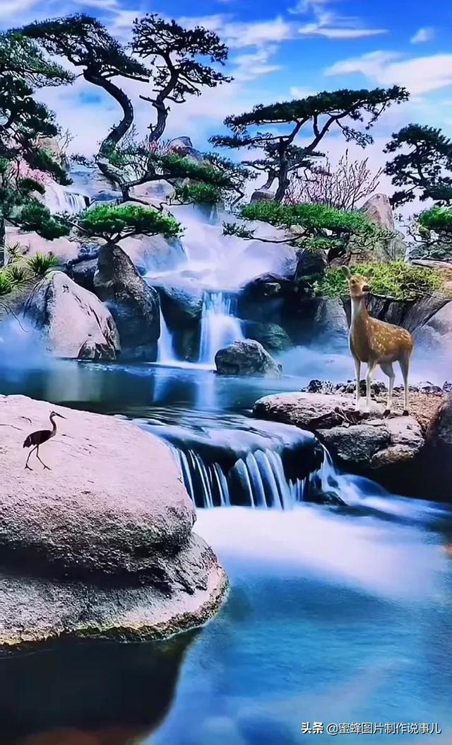 见缝插刀2
